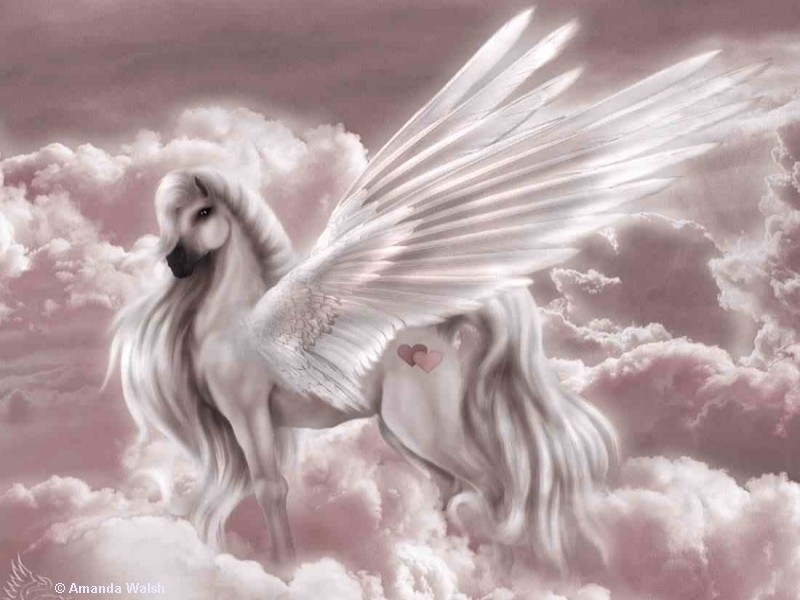 6d128385f0_47155010_o2